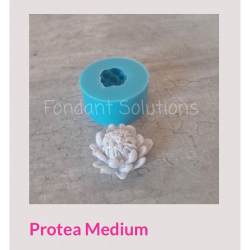 FS PROTEA MED FS PROTEA MED